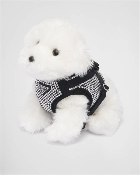 prada luxury pet accessories.